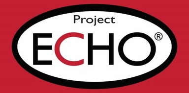 Smal version of project echo logo