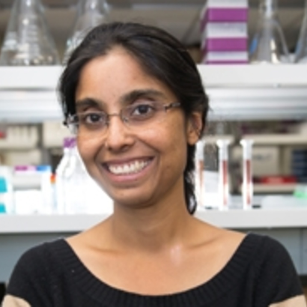 Veena Prahlad