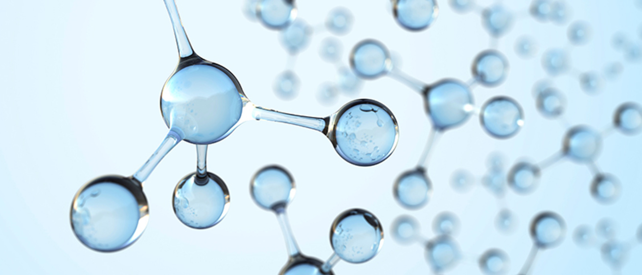 Molecular seminar banner