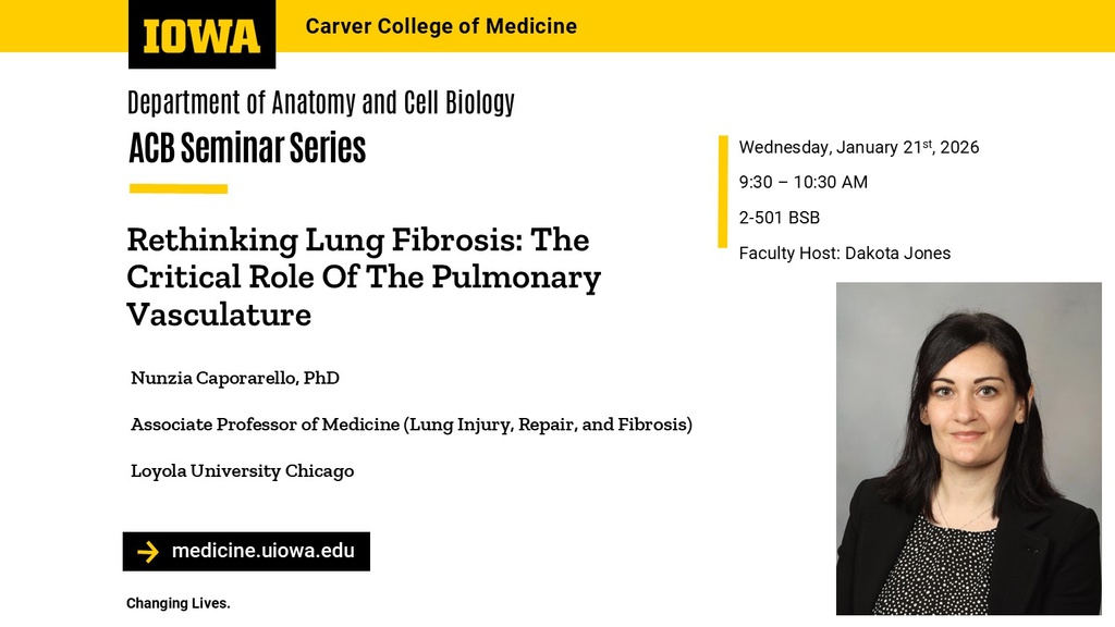 ACB Seminar Series - Dr. Nunzia Caporarello promotional image